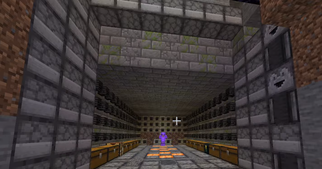 A screenshot from someone's stream. It shows a vault dug out into the side of a hill. Every block of the stone walls has a wither skull on it. Two t-shaped soul sand blocks stand at the very back of the vault, ready to be assembled into withers. An armor stand with full netherite armor stands in the back. The edges of the floor is lined with chests.