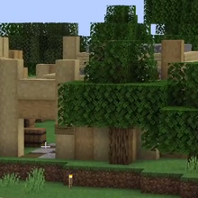 This is a screenshot of Tommy's stream. It shows the entrance to Logstedshire, a mishmash of different sized stripped birch and oak logs surrounding the camp. Two oak trees grow outside the door. We can see a single barrel sitting in the doorframe. A lone torch sits on the ground outside.